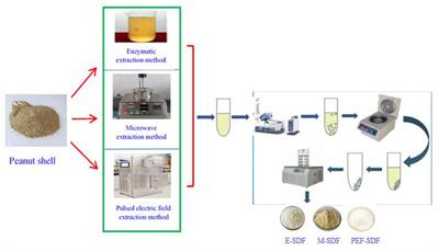 Characterization of the structural, physicochemical, and functional properties of soluble dietary fibers obtained from the peanut shell using different extraction methods